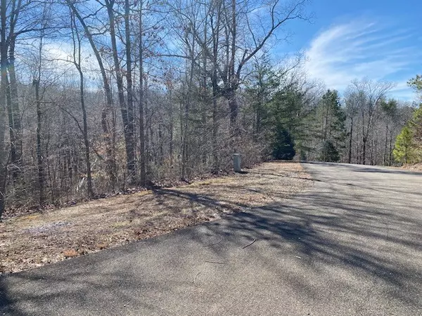 Ellijay, GA 30540,Lot 119 Tranquility @ Carters Lake