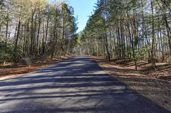 Ellijay, GA 30536,Lot 38R Lakeview Lane