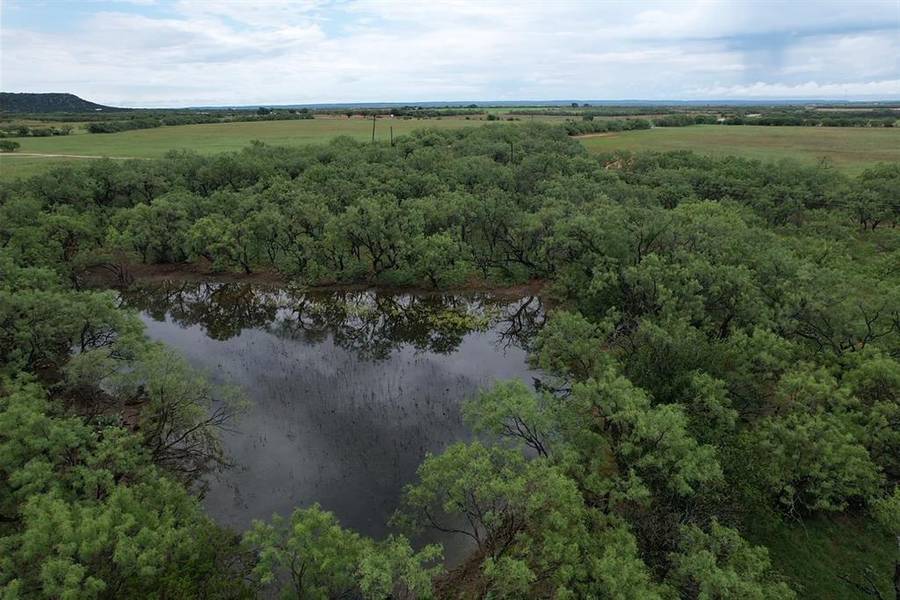 Tract 1 CR 180, Ovalo, TX 79541