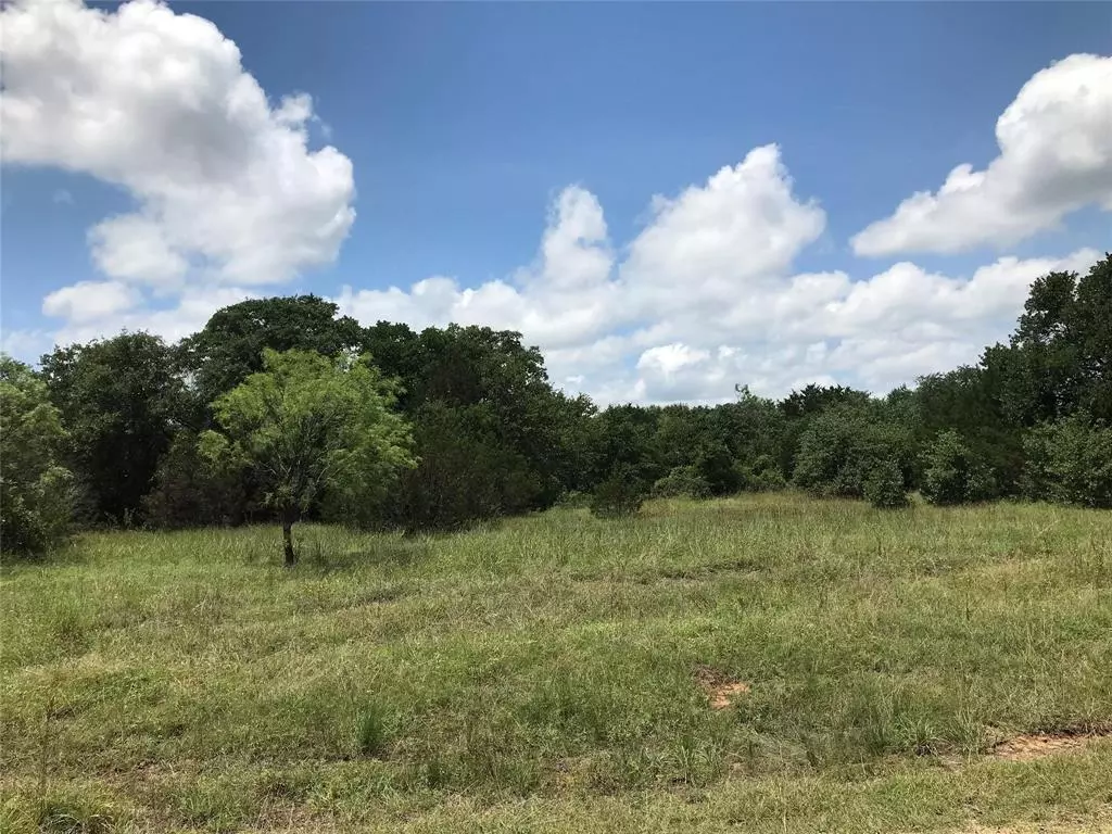 Palo Pinto, TX 76484,Lot 19 N Lakeview Drive