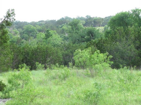 Evant, TX 76525,Lot 44 Phase 6 PR 42107