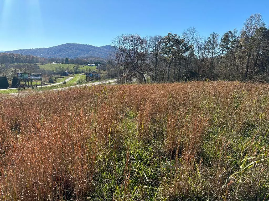 Hayesville, NC 28904,Lots 1-4 Windy Ridge & Hwy 69