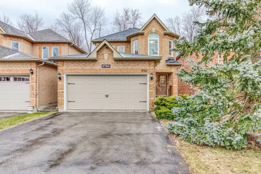 3782 Forest Bluff CRES #Lower, Mississauga, ON L5N 7T8