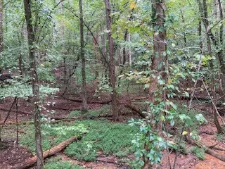 Ellijay, GA 30540,LOT 3485 BAMBY LANE