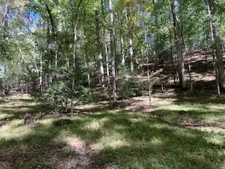 Ellijay, GA 30536,00 Goldmine Drive