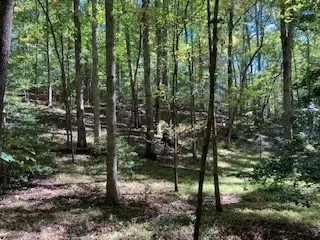 Ellijay, GA 30536,00 Goldmine Drive