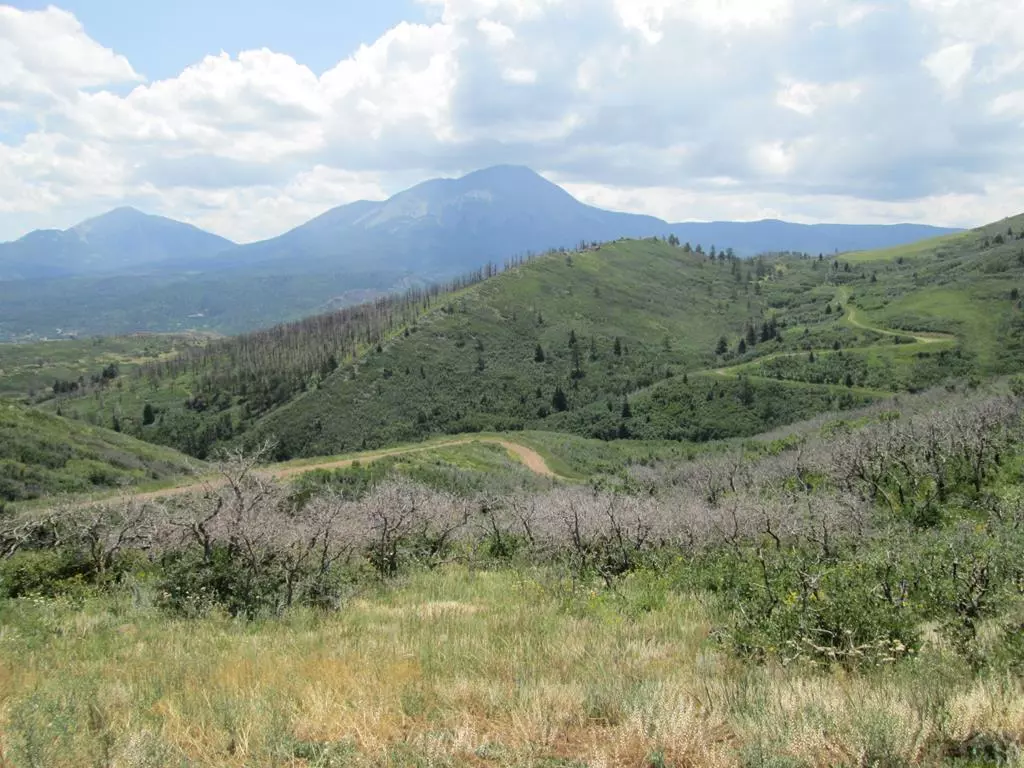 La Veta, CO 81055,Lot 32 Raspberry Mountain Ranch