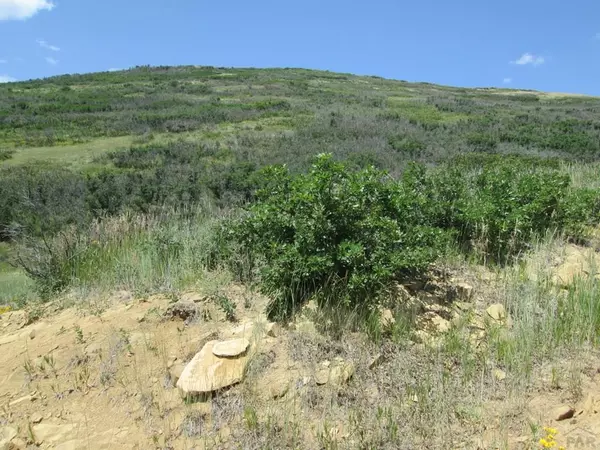 La Veta, CO 81055,Lot 32 Raspberry Mountain Ranch