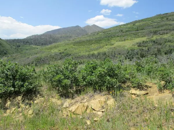 La Veta, CO 81055,Lot 32 Raspberry Mountain Ranch