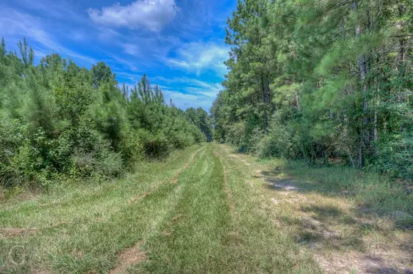 Ringgold, LA 71068,702 Pietsch Road