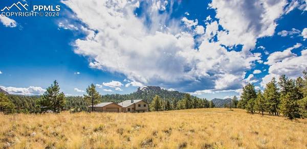 558 N Deer Mountain RD, Florissant, CO 80816