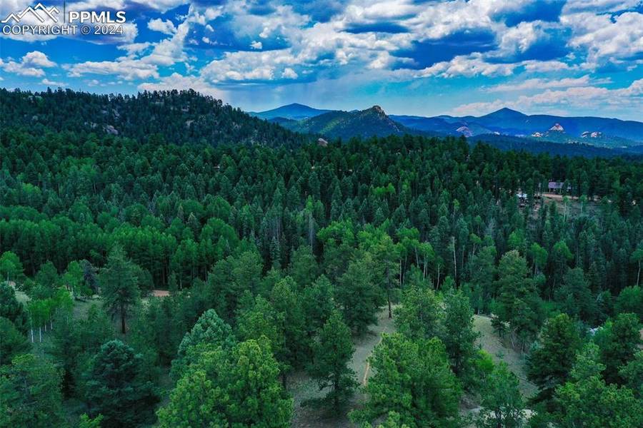 525 Spring Valley LN, Florissant, CO 80816