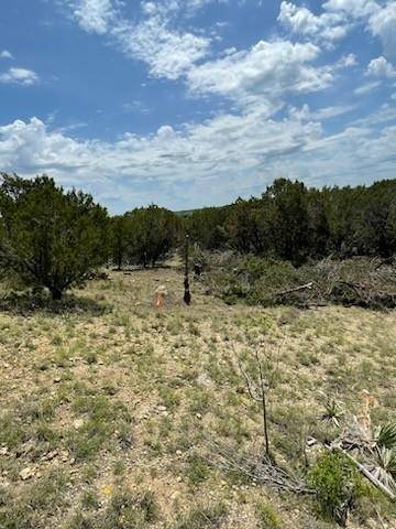 Lot 1 & 12 7th & 8th Street, Glen Rose, TX 76043