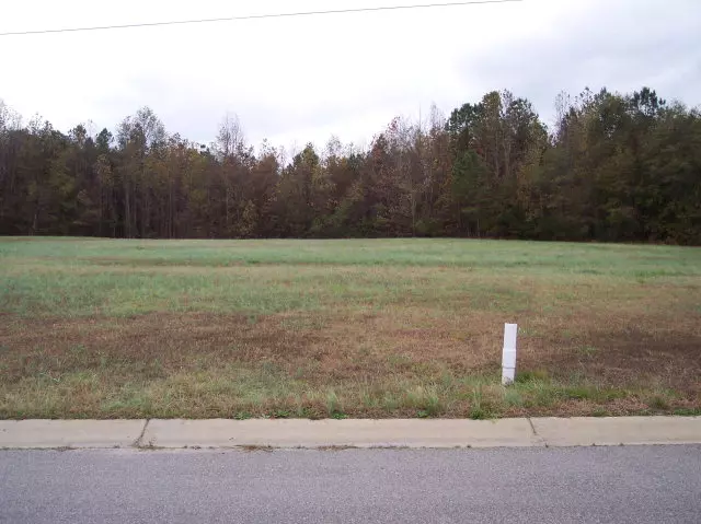 Ahoskie, NC 27910,133 Pinewood Dr  Lot # 11