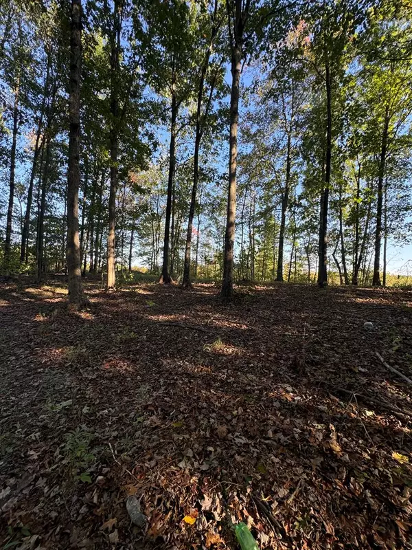 1.39 acs SMOKEY RIDGE ROAD, Jamestown, TN 38556