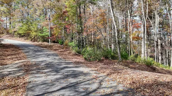 Ellijay, GA 30540,Lot 332 Pocaset Drive