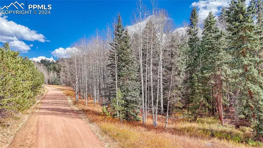 Florissant, CO 80816,570 Spring Valley LN