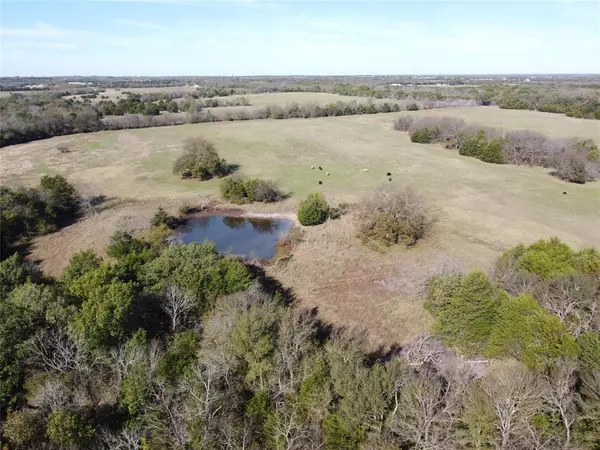 Celeste, TX 75423,42 ac Cr-1083