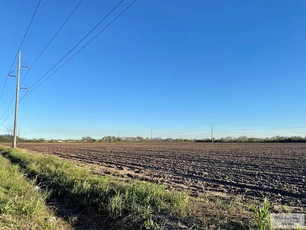 Los Fresnos, TX 78566,25 Acres EBONY RD.