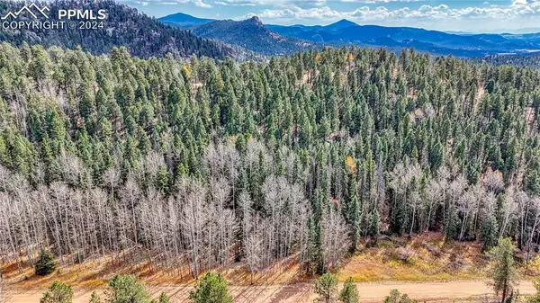 Florissant, CO 80816,570 Spring Valley LN