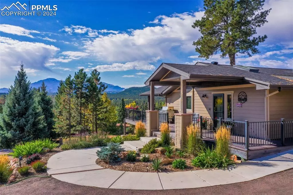 Woodland Park, CO 80863,250 Apache TRL