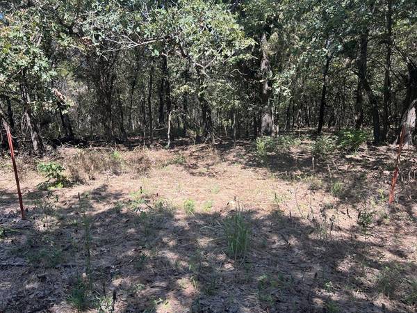 Tioga, TX 76271,Lot 14 Lake Point Drive