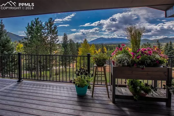 Woodland Park, CO 80863,250 Apache TRL