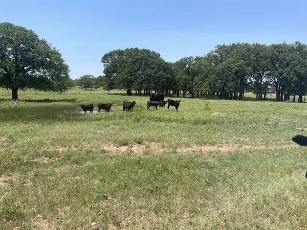 Bowie, TX 76230,000 Bugscuffle Rd