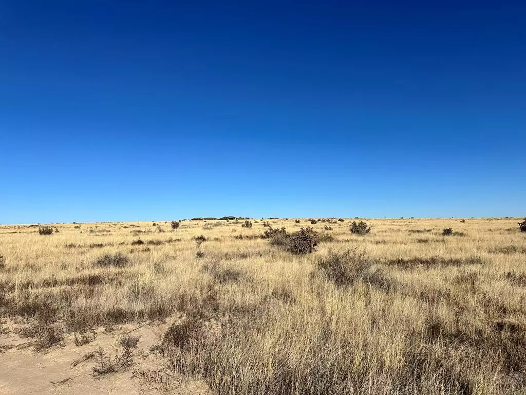 Pueblo West, CO 81007,1392 N Blazing Star Lane