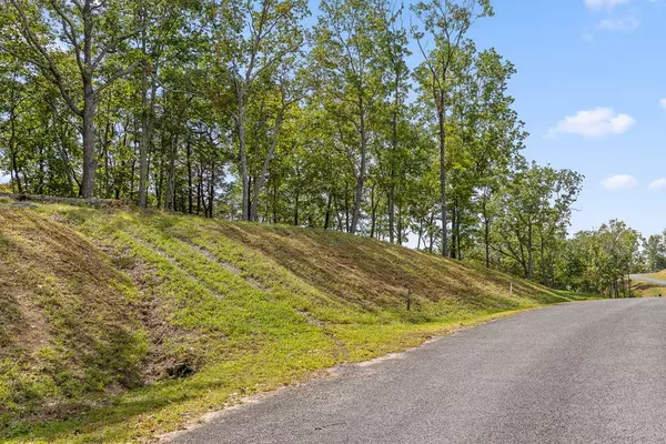 Talking Rock, GA 30175,Lot 54 High Summit Drive