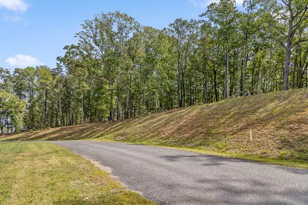 Talking Rock, GA 30175,Lot 54 High Summit Drive