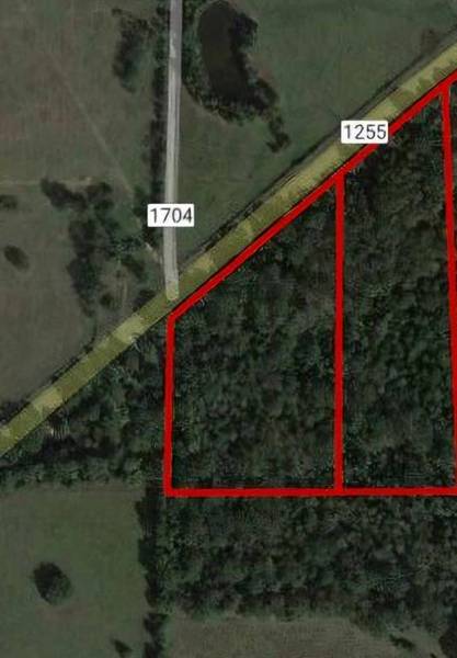 TBD TRACT 3 Fm 1255, Grand Saline, TX 75140