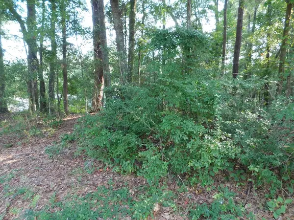 Ozark, AL 36360,0 Briar Cliff Rd Lot 5 BK E