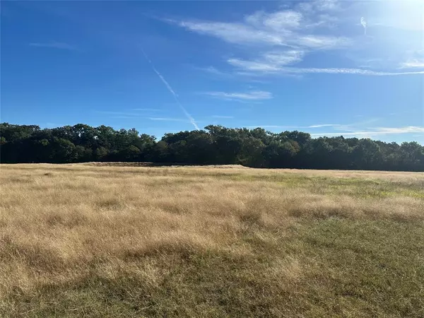 Whitesboro, TX 76273,Lot 6 Riley Road