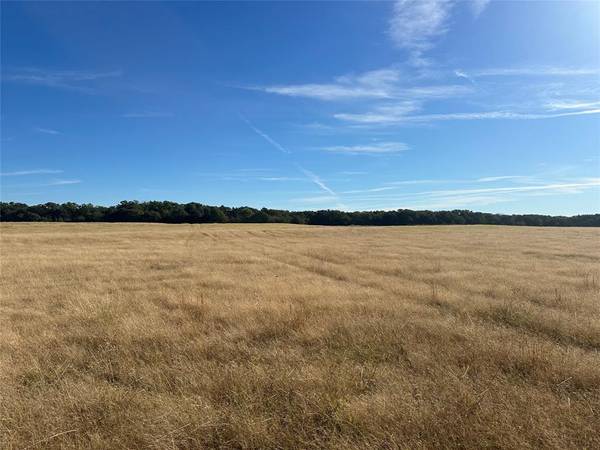 Lot 8 Riley Road, Whitesboro, TX 76273