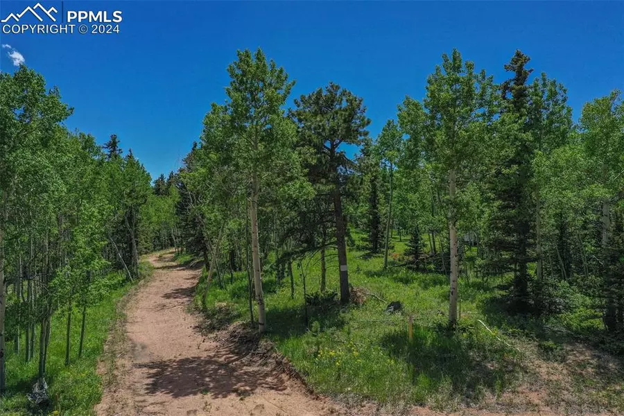 228 Worley RD, Divide, CO 80814