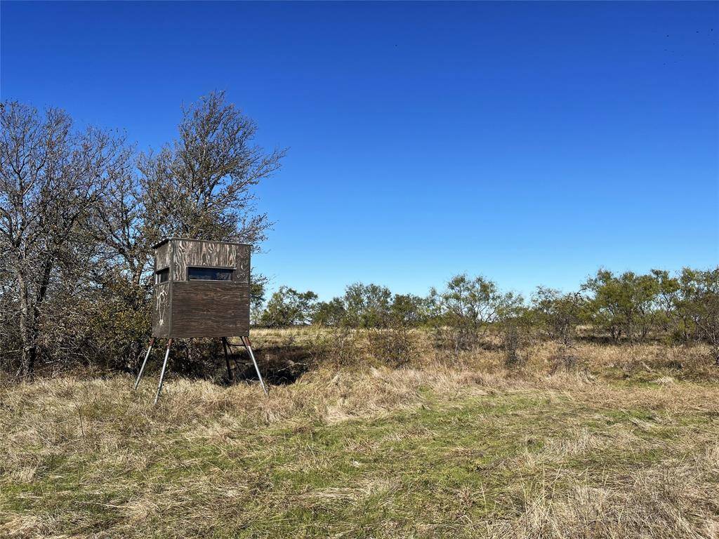 Gunter, TX 75058,0000 Old Tioga #22 Acres