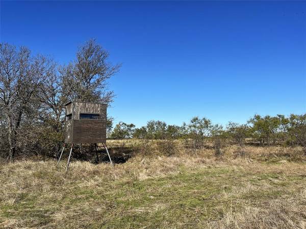 Gunter, TX 75058,0000 Old Tioga #22 Acres