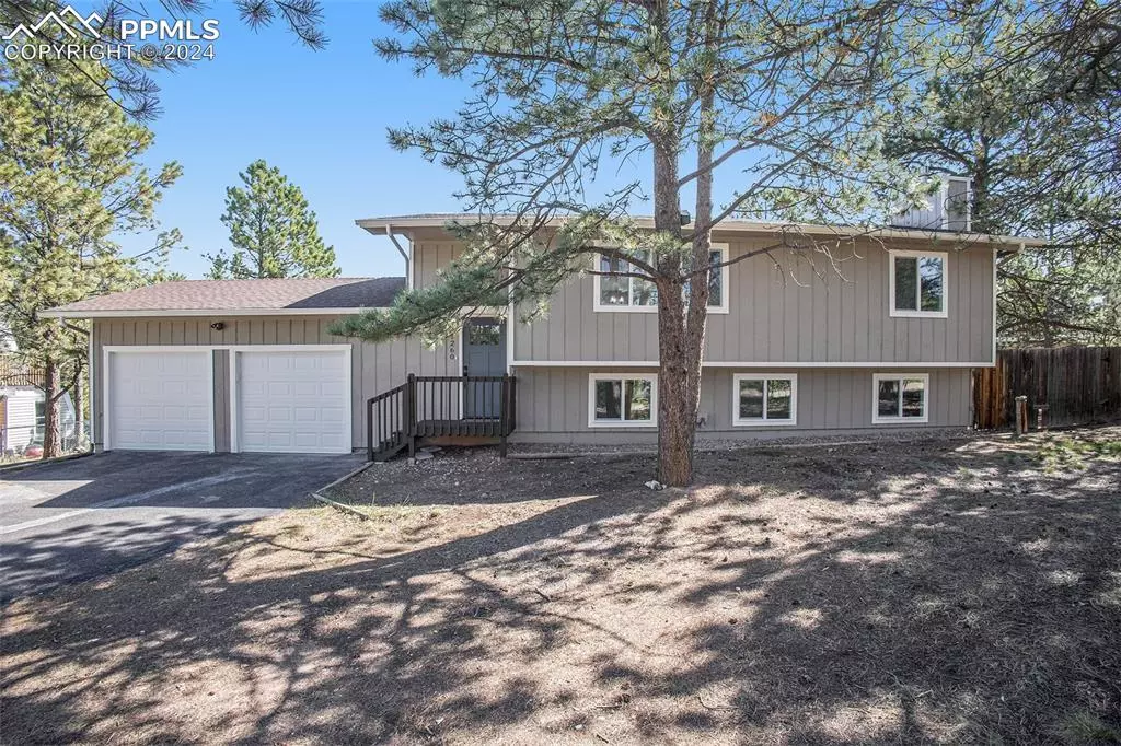 Woodland Park, CO 80863,1260 Michael LN