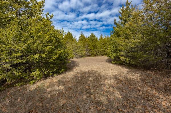 Bonham, TX 75418,TBD 19.99+/- AC County Rd 2005