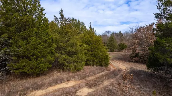 Bonham, TX 75418,TBD 19.99+/- AC County Rd 2005