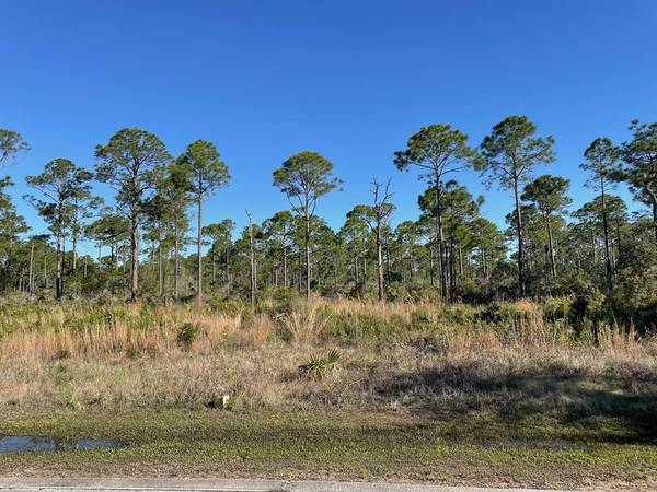 Lot 18 Shallow Reed Dr, Port St. Joe, FL 32456