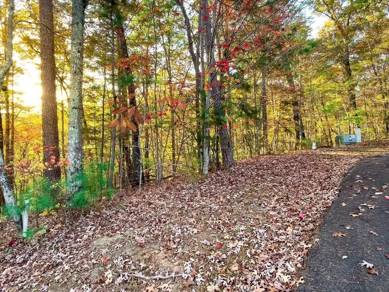 Lot 23 Fox Trail Court, Talking Rock, GA 30175