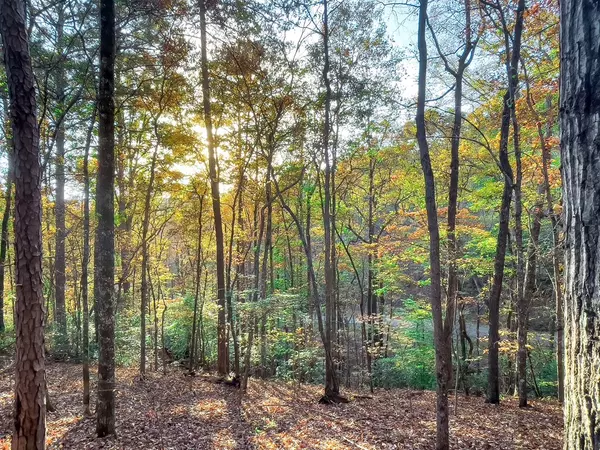 Talking Rock, GA 30175,Lot 23 Fox Trail Court