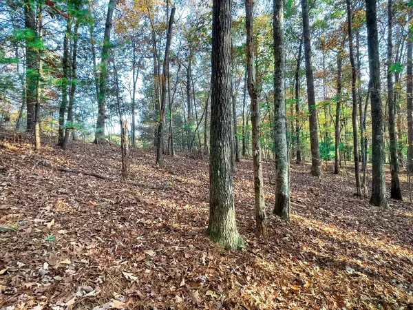 Talking Rock, GA 30175,Lot 23 Fox Trail Court