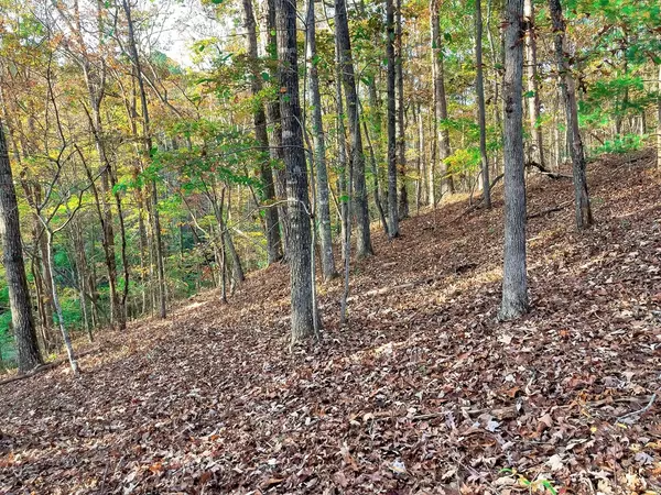 Talking Rock, GA 30175,Lot 23 Fox Trail Court