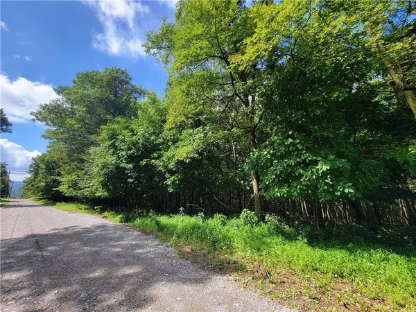 Walker Township, PA 18252,Whitetail Crossing Road