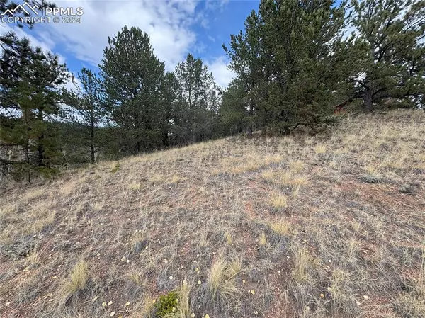 Divide, CO 80814,TBD Pikes Peak DR