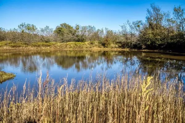 Palo Pinto, TX 76484,TBD Shady Oaks