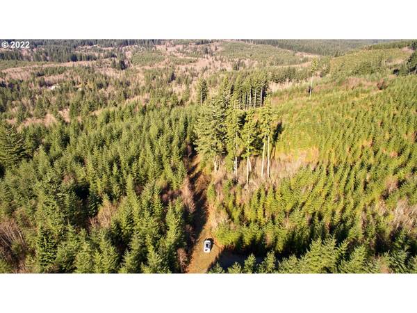 3 NE Jones Creek RD, Camas, WA 98607